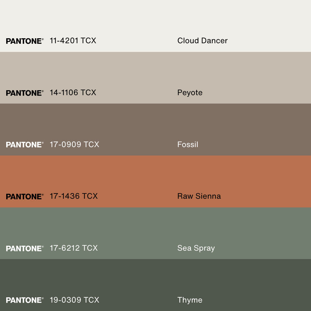 SOUFFLE DE PLUMES, Oeuvre sur toile étirée, encadré Naturel Clair