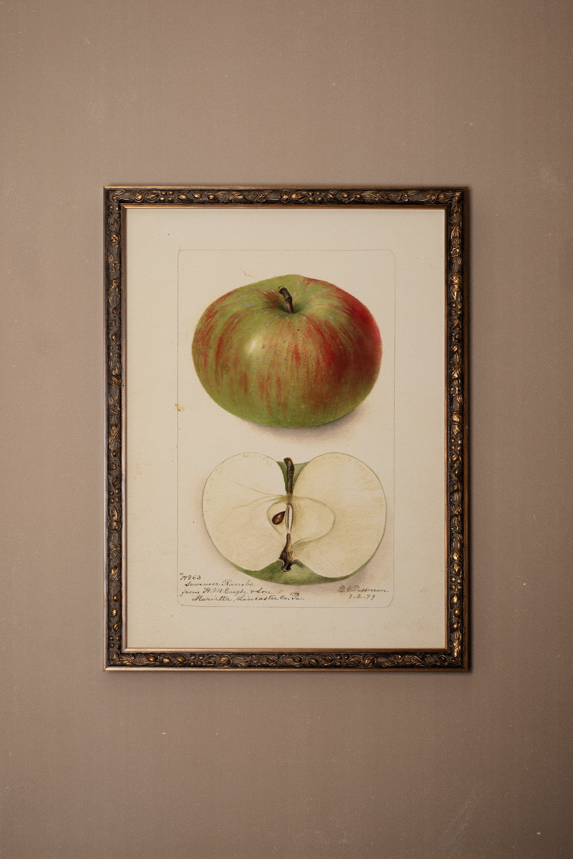 SAVEUR DU PASSÉ, Artwork on rigid canvas, framed in Vintage Bronze