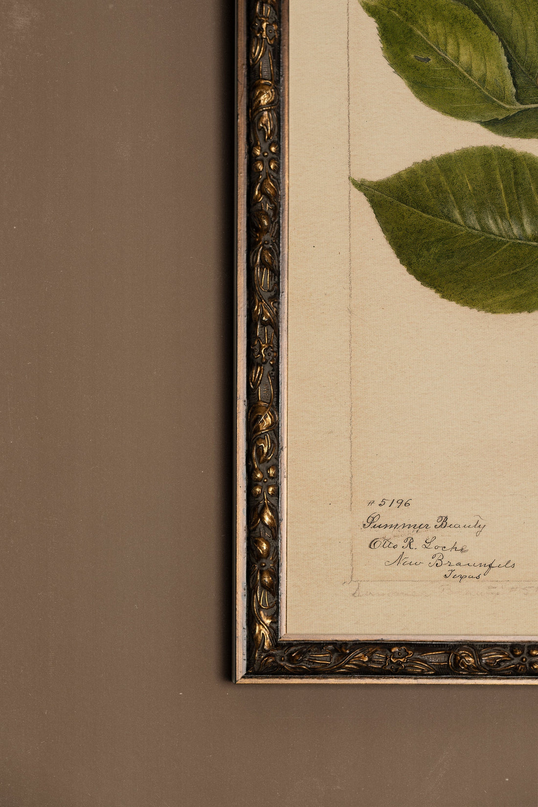 NECTAR DE LA SAISON, Oeuvre sur toile rigide, encadré Vintage Bronze