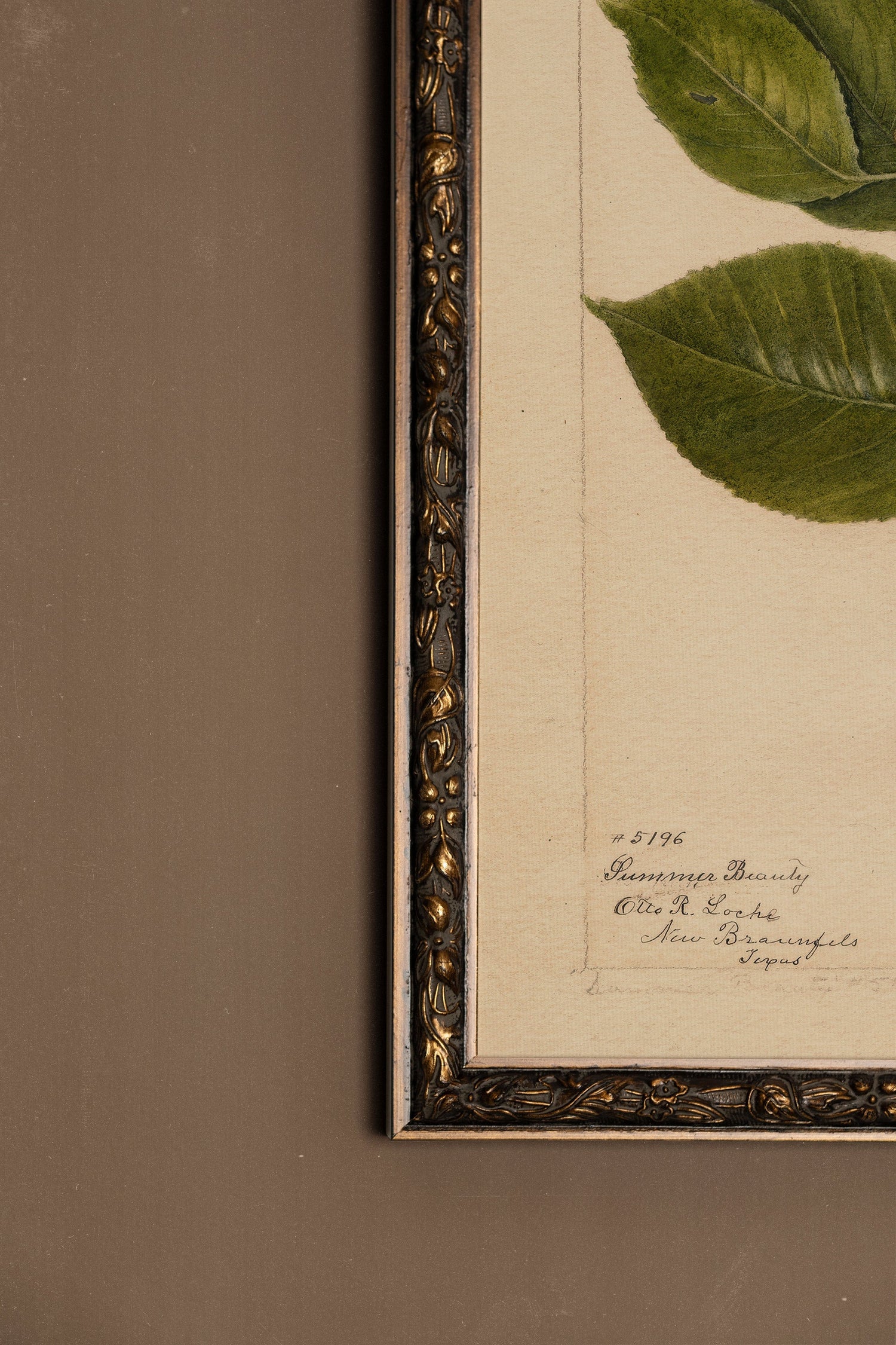 NECTAR DE LA SAISON, Artwork on rigid canvas, framed in Vintage Bronze