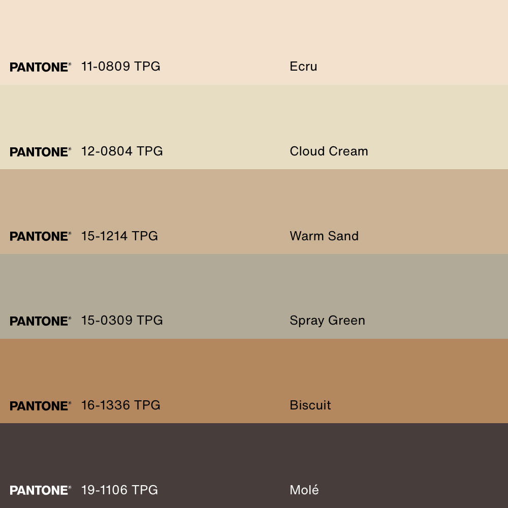 VOLÉE DE SOUVENIRS, Artwork on stretched canvas, framed Natural Light