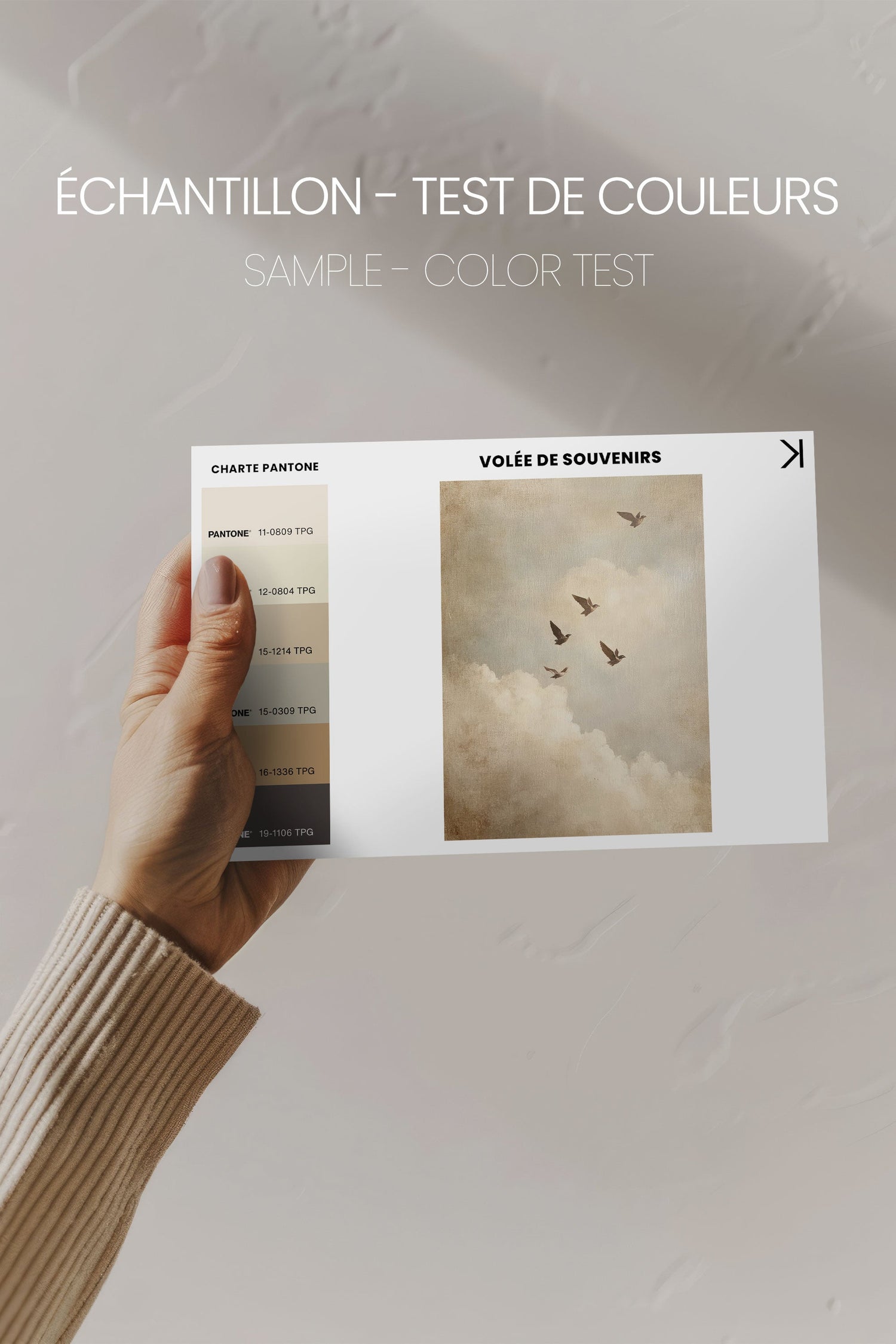 OLEKA CANVAS - VOLÉE DE SOUVENIRS, Oeuvre sur toile étirée, encadré Blanc