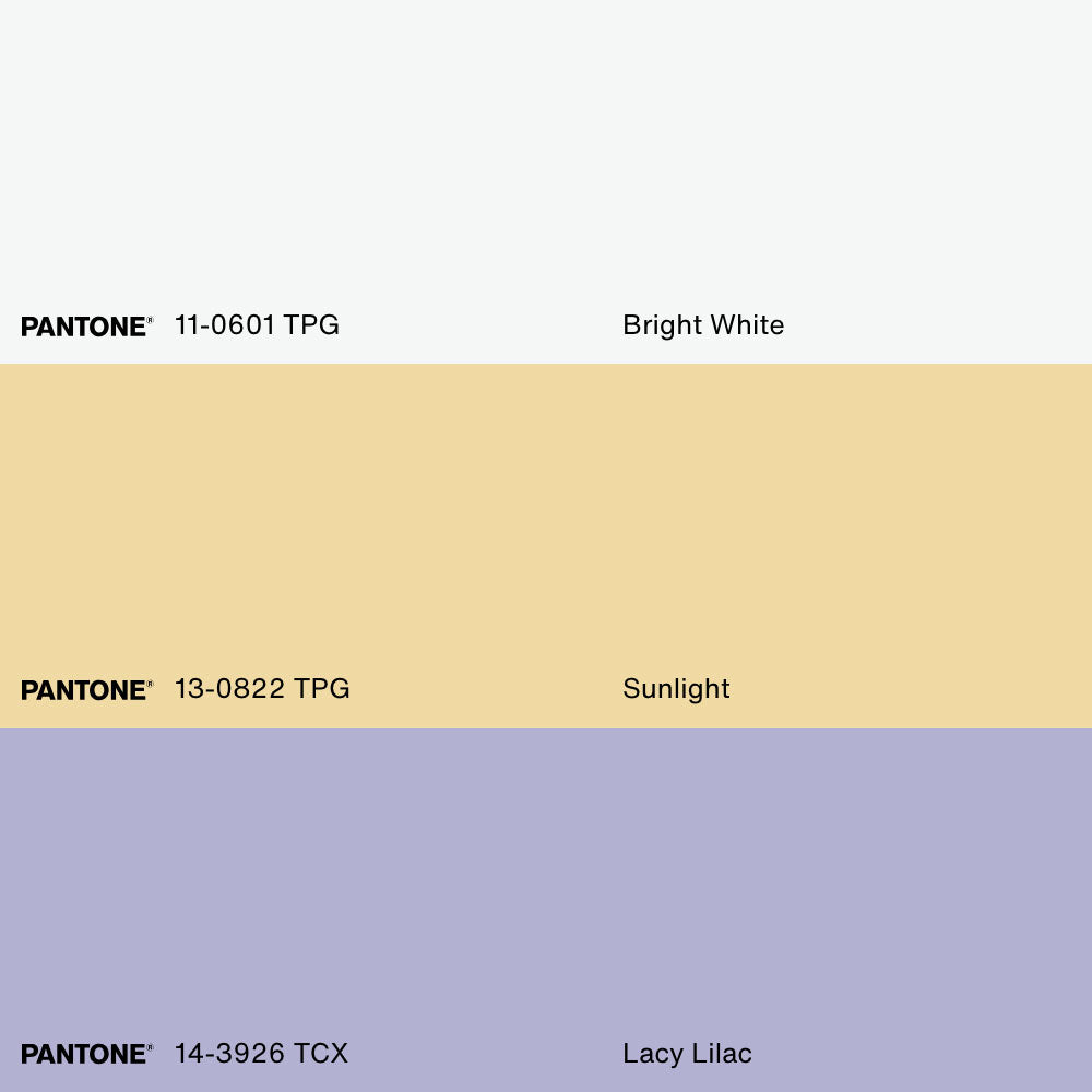 DAISY DREAM, Oeuvre sur toile étirée, encadré Naturel Clair