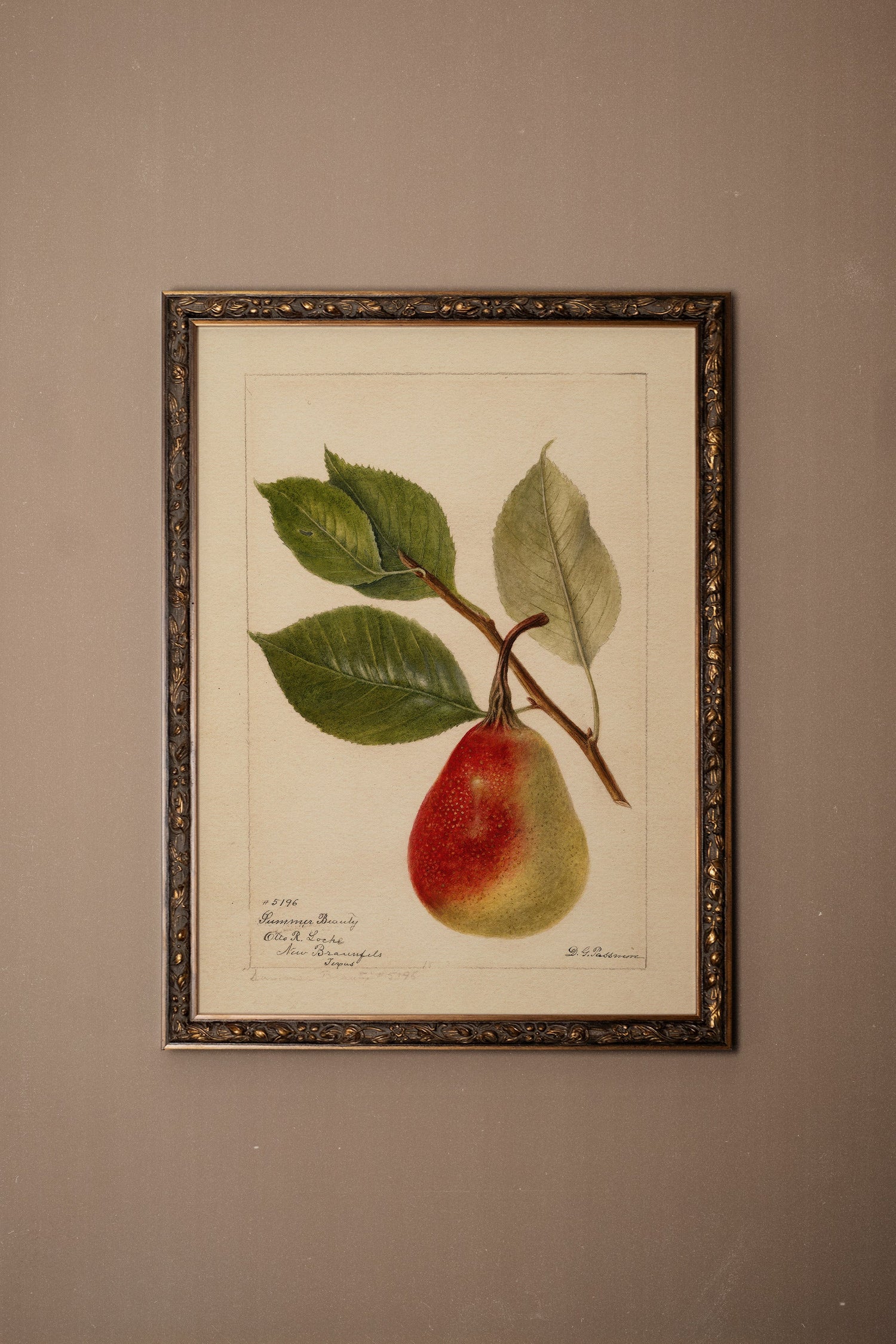 NECTAR DE LA SAISON, Artwork on rigid canvas, framed in Vintage Bronze