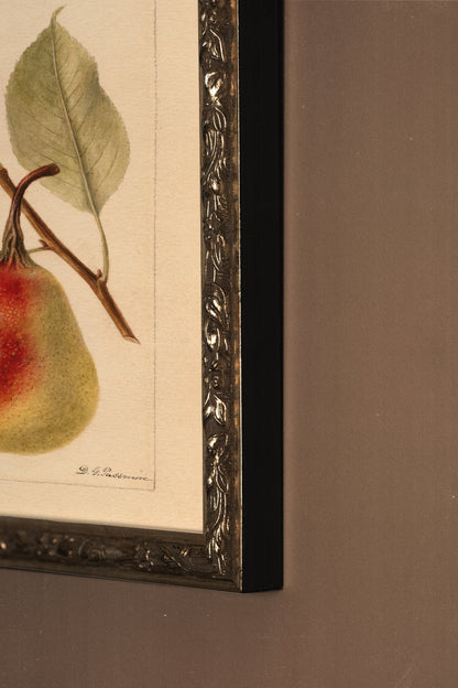 NECTAR DE LA SAISON, Artwork on rigid canvas, framed in Vintage Bronze