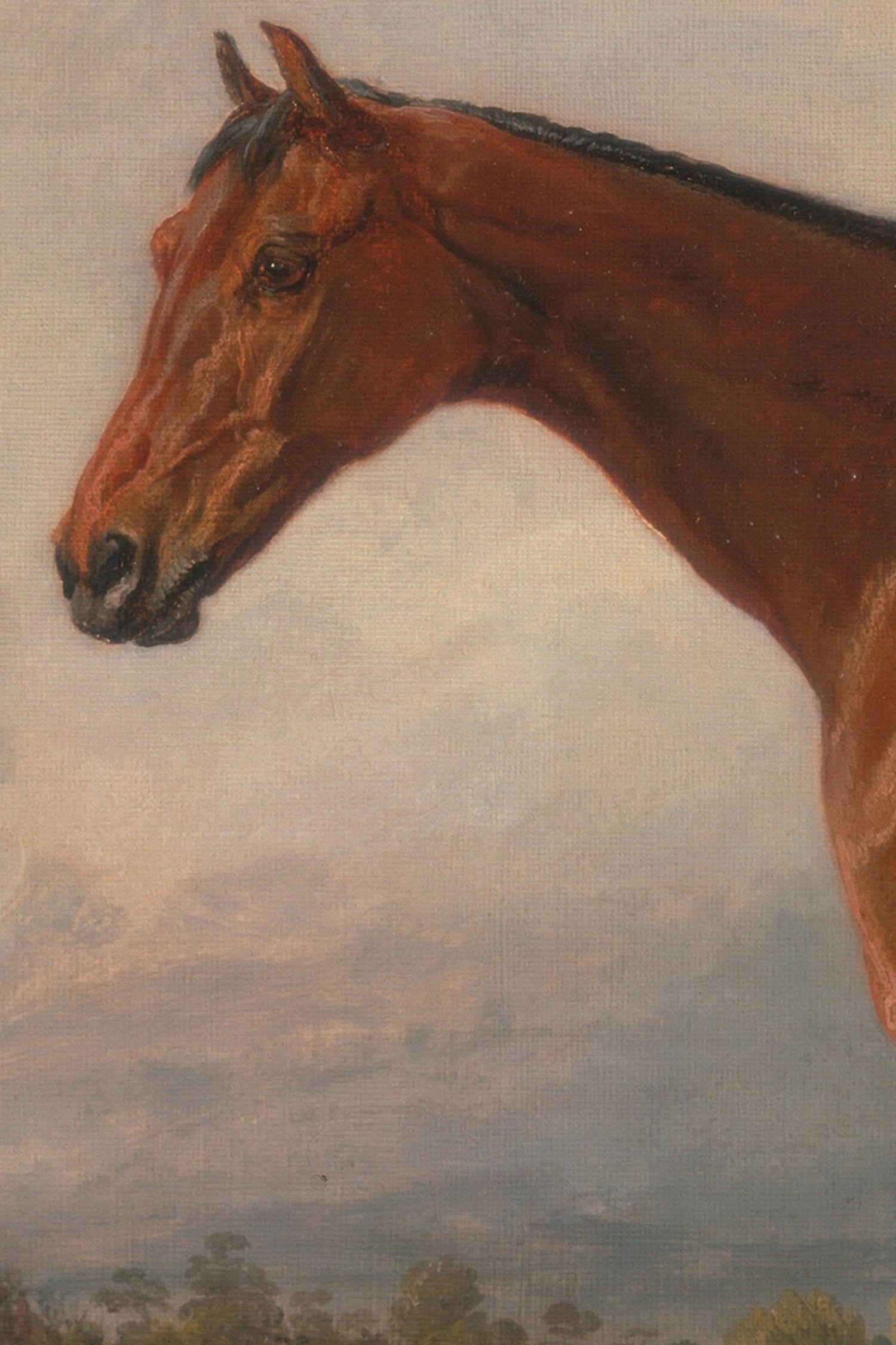 MAJESTÉ ÉQUESTRE, Oeuvre sur toile étirée, encadré Vintage Bronze