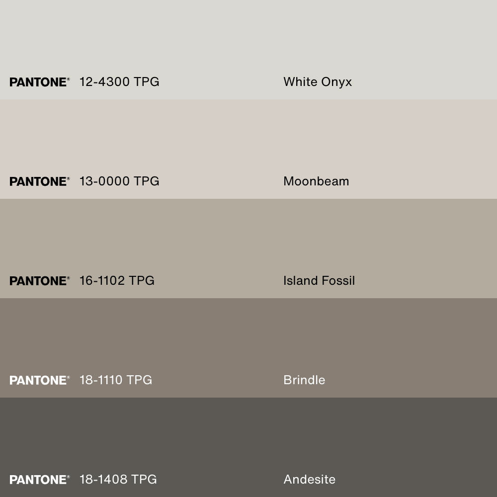 SHADOWED HOUSE, Oeuvre sur toile étirée, encadré Naturel Clair