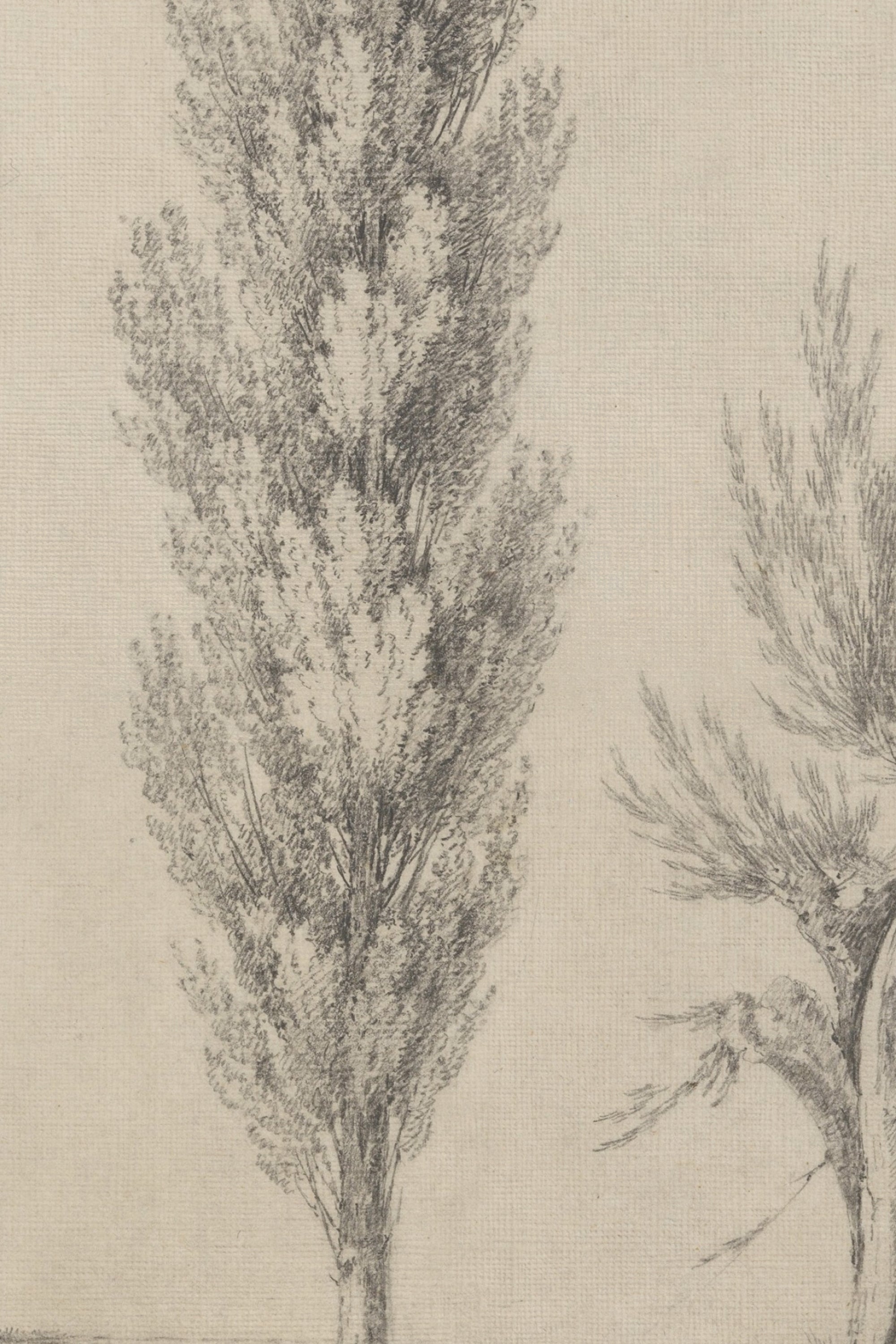 SOUFFLE DU PEUPLIER, Oeuvre sur toile rigide, encadré Vintage Argent