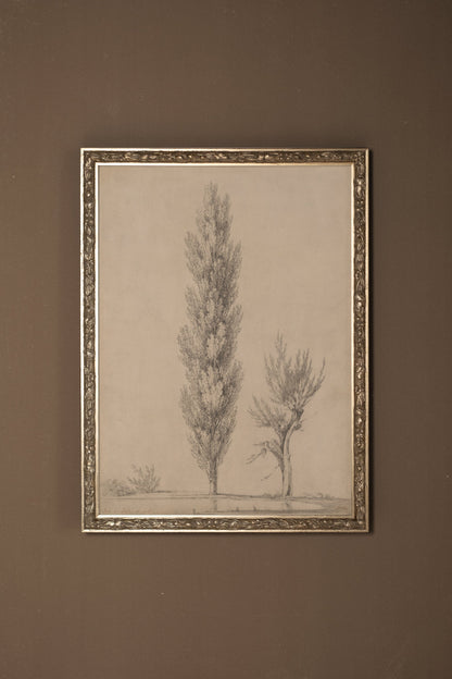 SOUFFLE DU PEUPLIER, Oeuvre sur toile rigide, encadré Vintage Argent