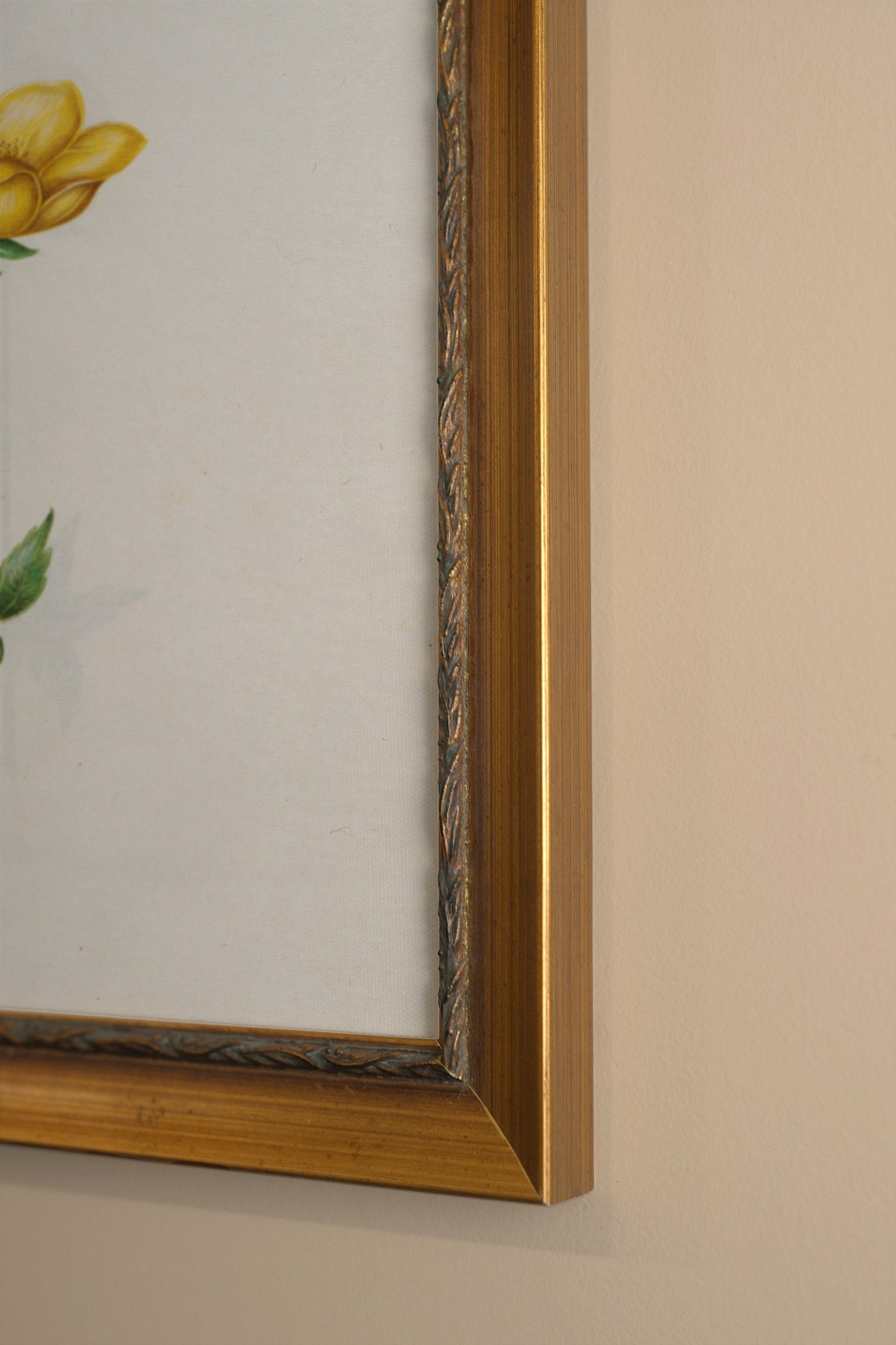 POÉSIE BOTANIQUE, Artwork on rigid canvas, framed in Vintage Gold