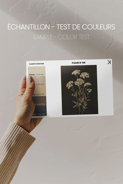 OLEKA CANVAS - FLEUR D&