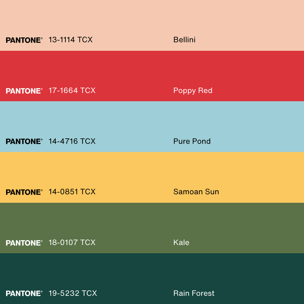 ÉCLAT DE SAISON, Oeuvre sur toile étirée, encadré Naturel Clair