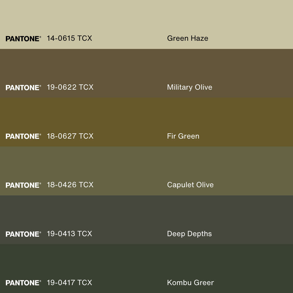 BOTANIC RELIC, Artwork on stretched canvas, framed in Brown Oak