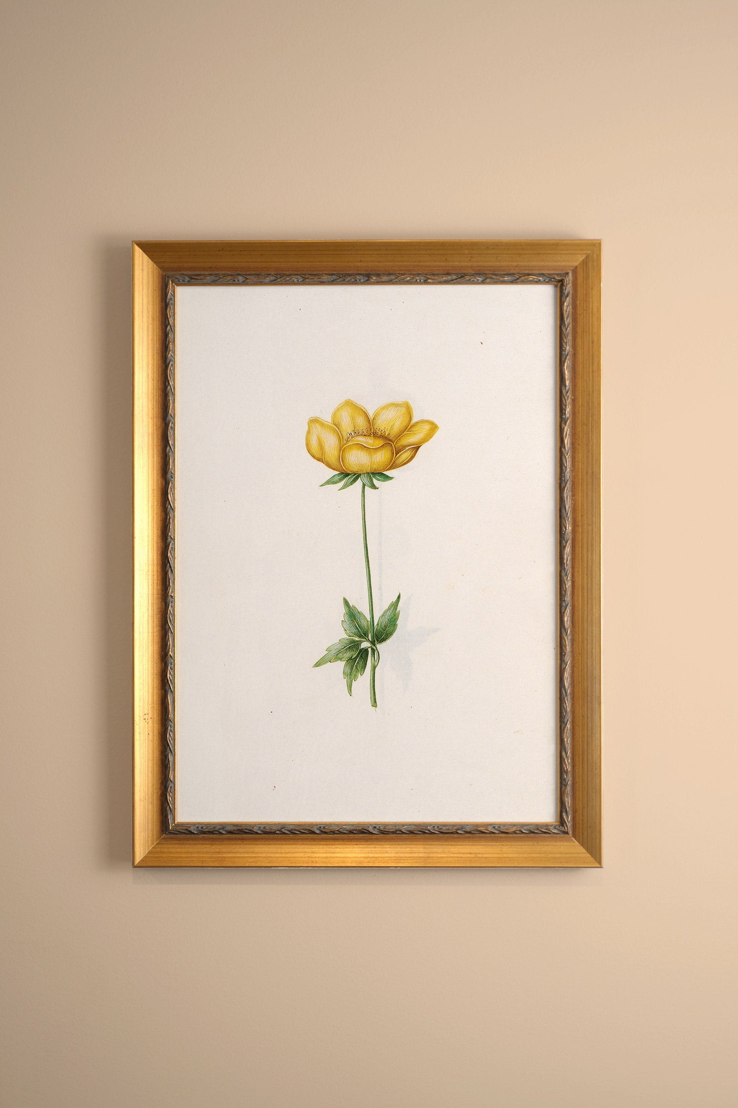 POÉSIE BOTANIQUE, Artwork on rigid canvas, framed in Vintage Gold