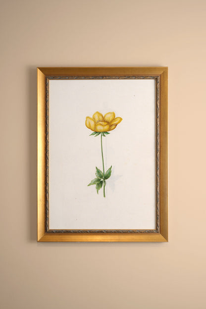 POÉSIE BOTANIQUE, Artwork on rigid canvas, framed in Vintage Gold