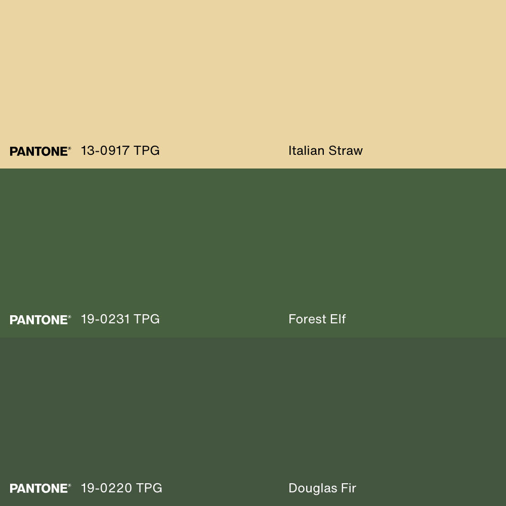 THE GREEN CHAIR, Oeuvre sur toile étirée, encadré Naturel Clair