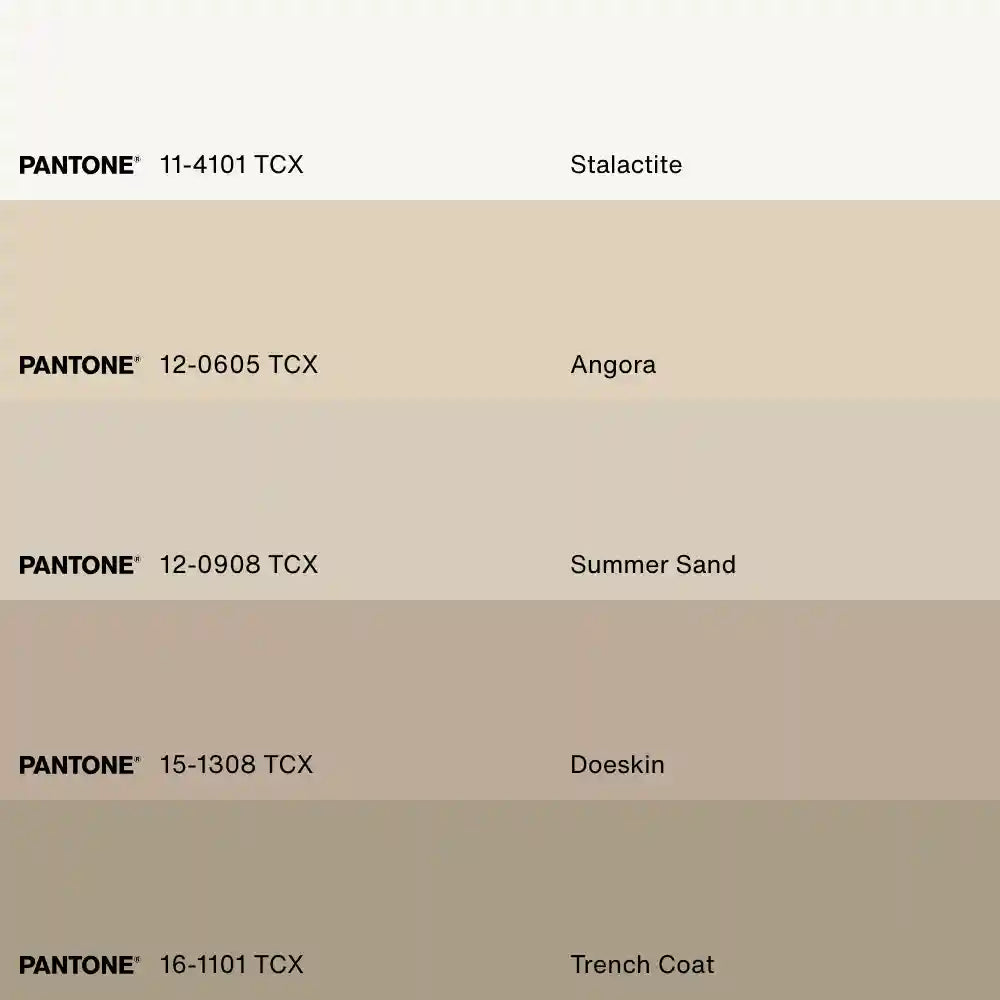 SAND PALM, Oeuvre sur toile étirée, encadré Naturel Clair