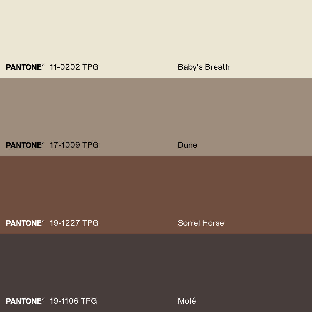 COASTAL COLLECTION, Oeuvre sur toile étirée, encadré Naturel Clair