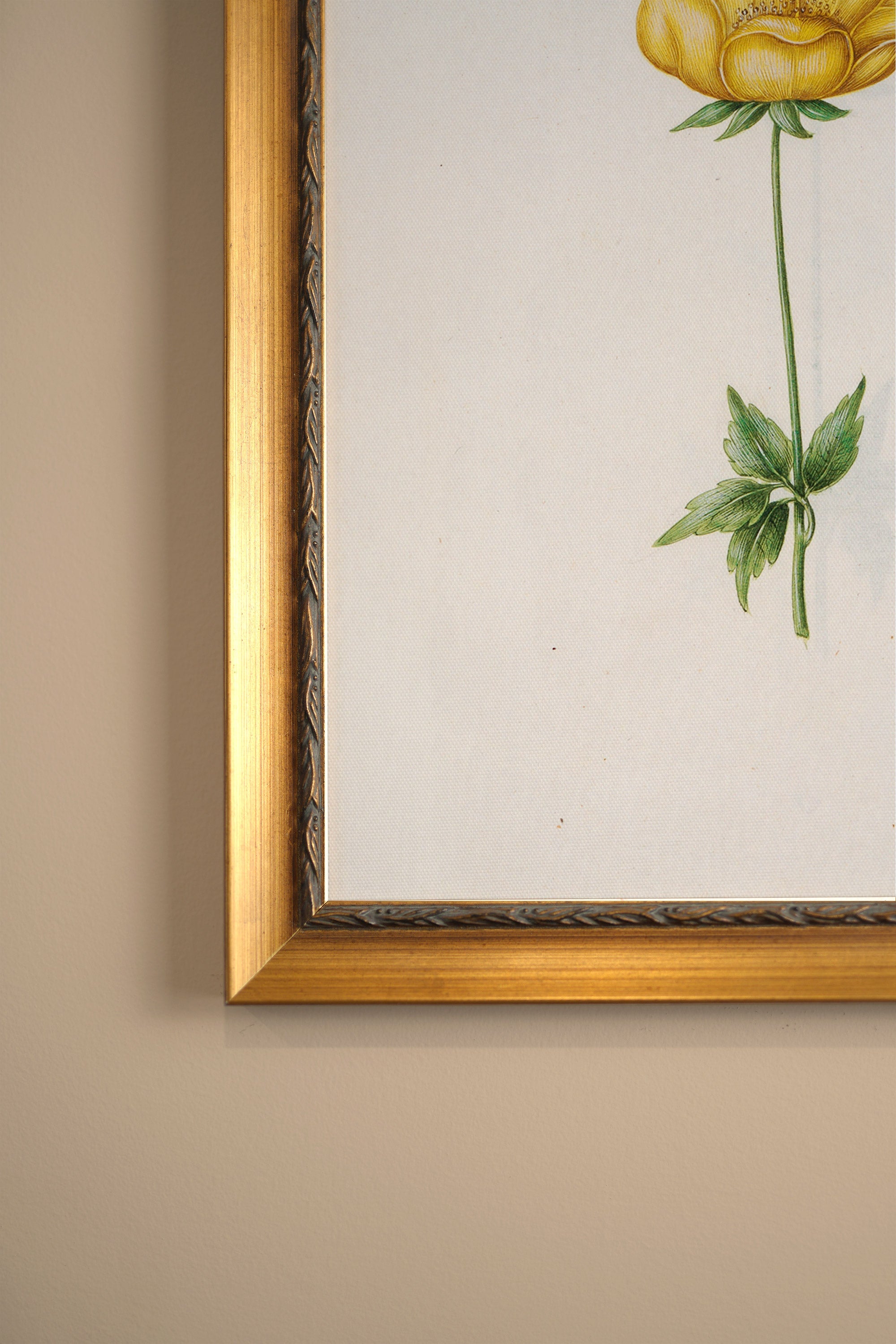 POÉSIE BOTANIQUE, Artwork on rigid canvas, framed in Vintage Gold