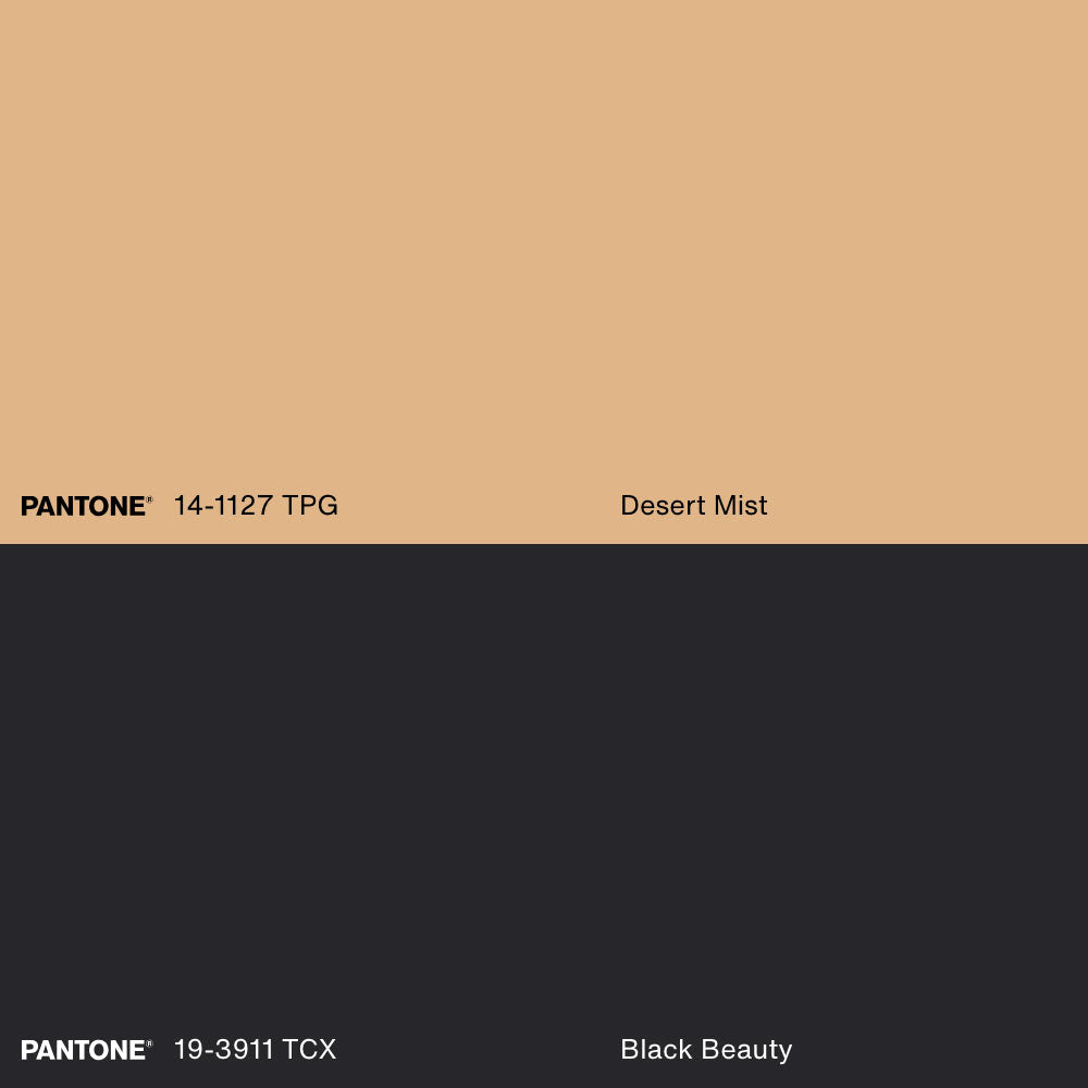 ANCIENT ROOTS, Artwork on stretched canvas, framed in white