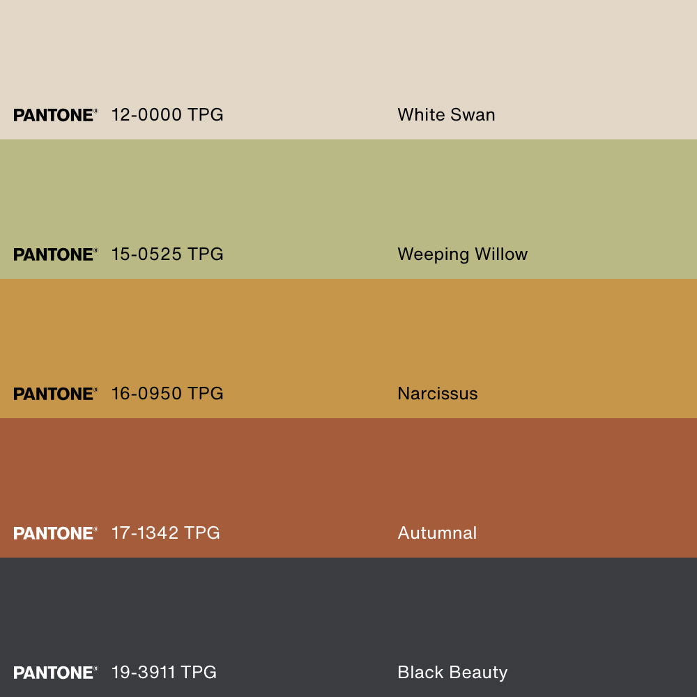 ÉMOTION, Oeuvre sur toile étirée, encadré Naturel Clair
