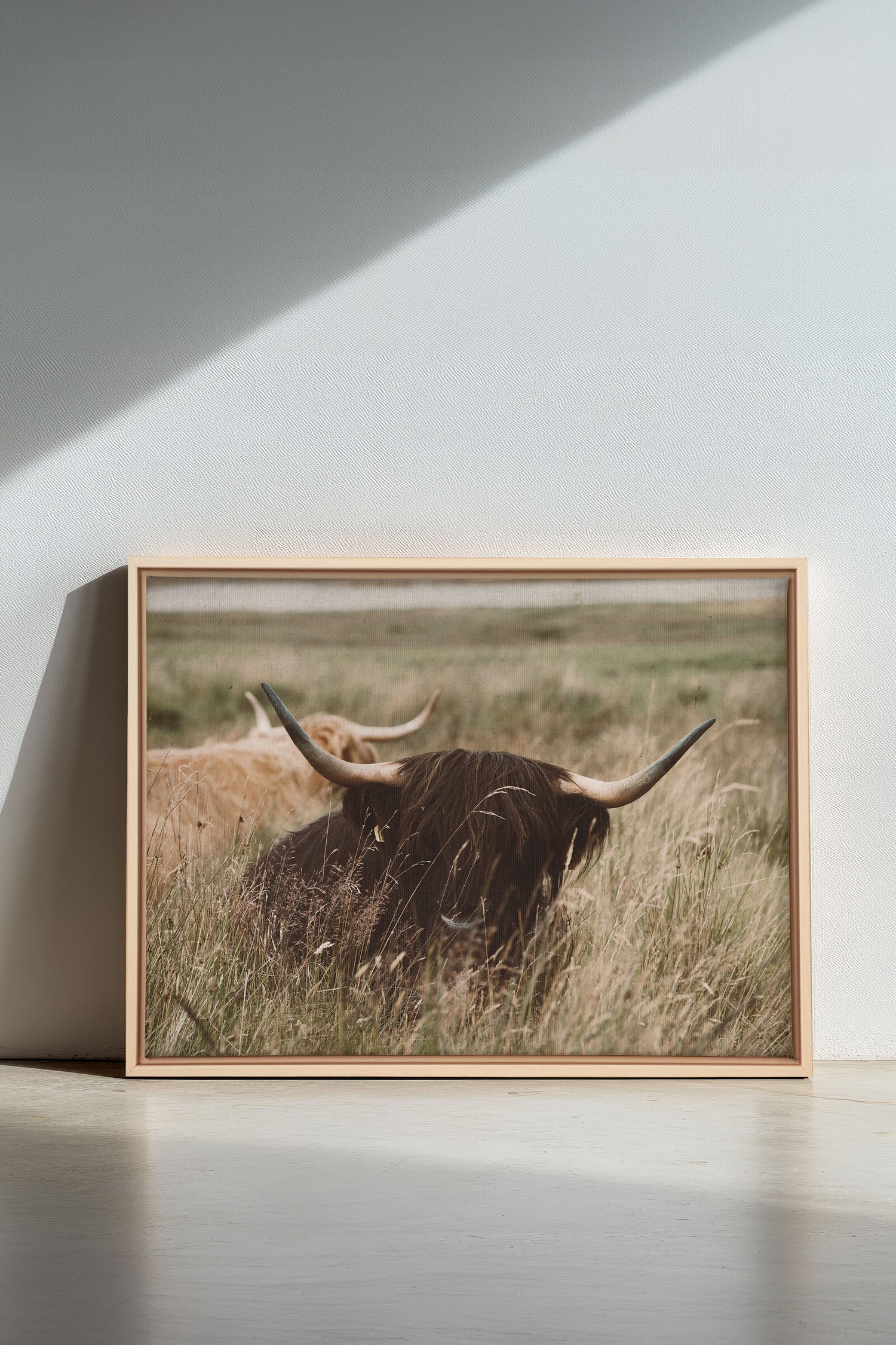 HIGHLAND SPIRIT, Artwork on stretched canvas, framed Natural Light