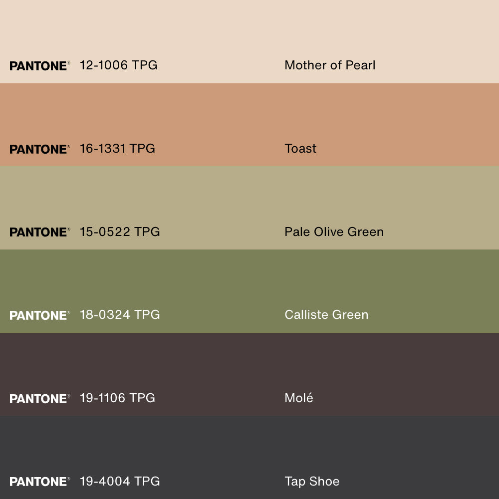 HIGHLAND SPIRIT, Artwork on stretched canvas, framed Natural Light