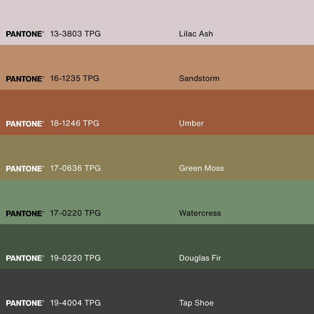 ROOTED SPIRIT, Oeuvre sur toile étirée, encadré Naturel Clair