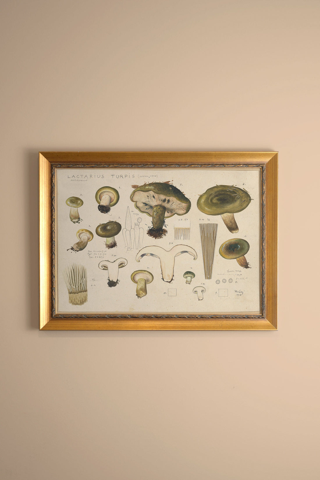 TRÉSOR FORESTIER, Oeuvre sur toile rigide, encadré Vintage Or