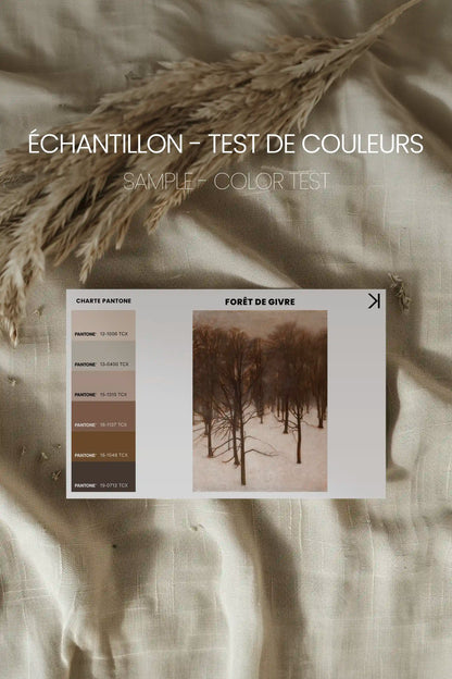 FORÊT DE GIVRE, Oeuvre sur toile étirée, encadré Brun Noyer