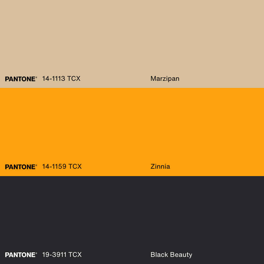 SOLAR MOTION, Artwork on stretched canvas, framed Natural Light