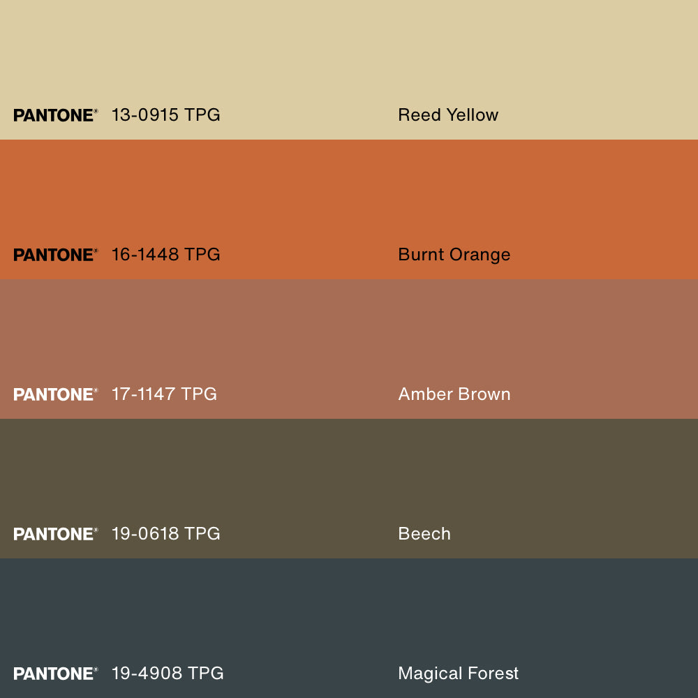 ORGANIQUE, Oeuvre sur toile étirée, encadré Naturel Clair