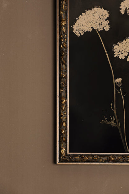 FLEURS DE MINUIT, Oeuvre sur toile rigide, encadré Vintage Bronze