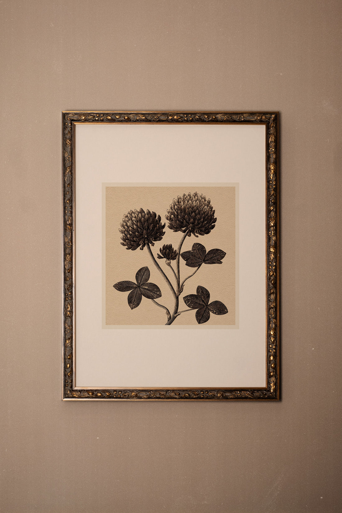 FIELD RELIC, Oeuvre sur toile étirée, encadré Vintage Bronze