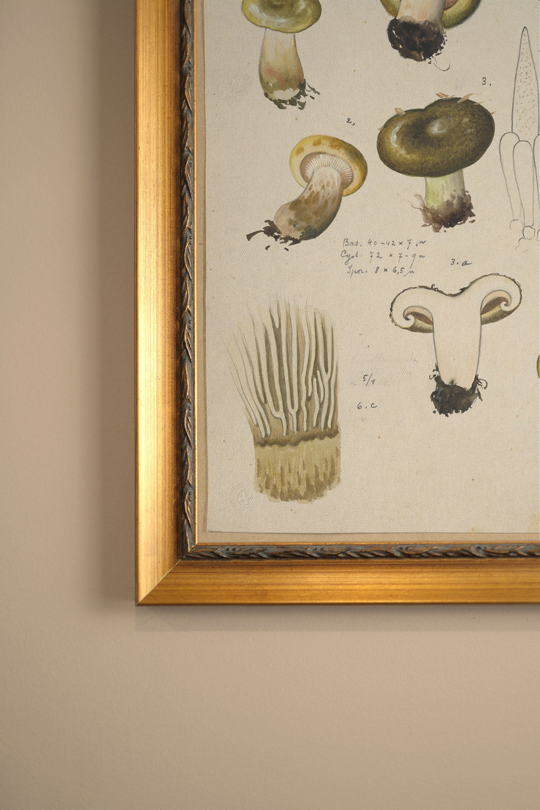 TRÉSOR FORESTIER, Oeuvre sur toile rigide, encadré Vintage Or