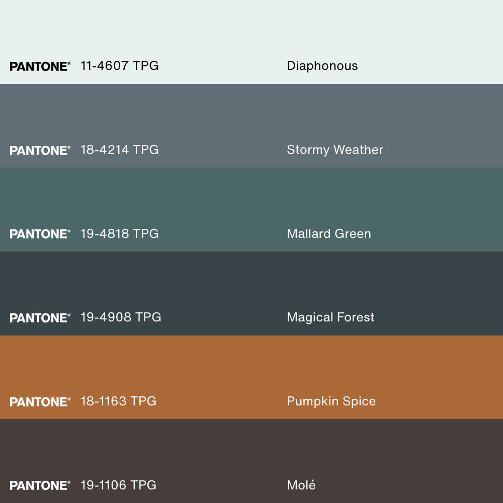 BRIDGE OF MIST, Artwork on stretched canvas, framed Natural Light