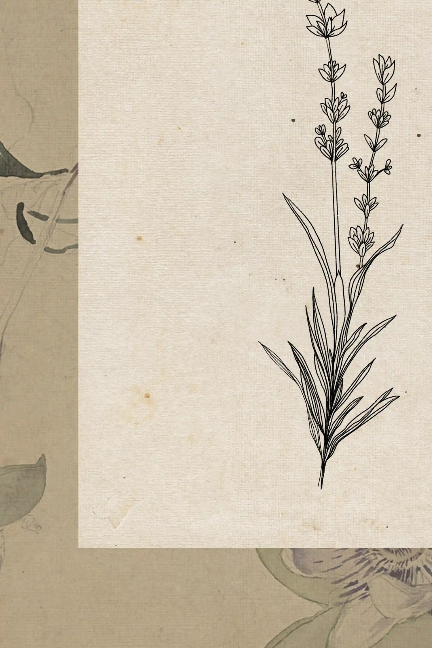 SACRED FLORA, Oeuvre sur toile rigide, encadré Vintage Bronze