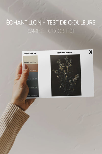 OLEKA CANVAS - FLEUR D&