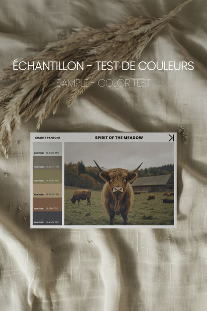 OLEKA CANVAS - SPIRIT OF THE MEADOW, Oeuvre sur toile étirée, encadré Blanc