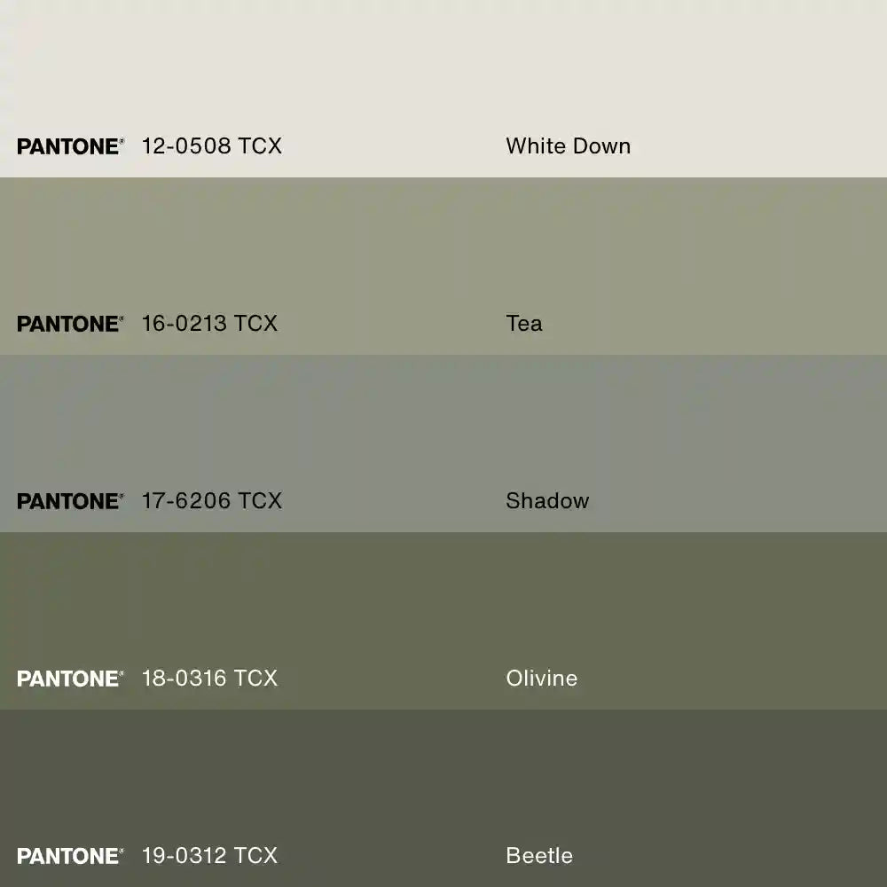 DUO SAUGE DOUCE, 2 Oeuvres sur toile étirée, encadré Naturel Clair