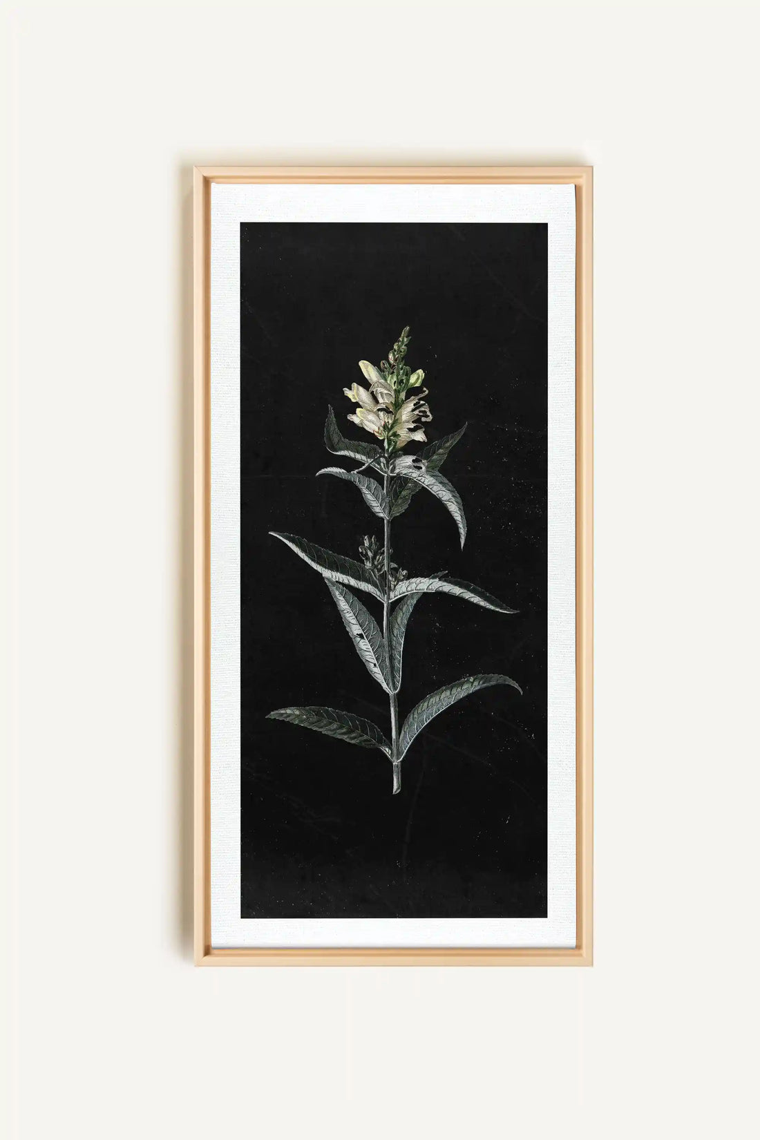 GUARDIAN BLOOM, Oeuvre sur toile étirée, encadré Naturel Clair