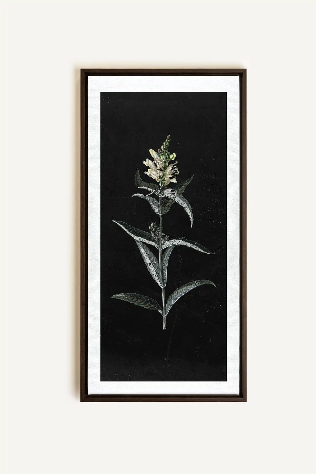 GUARDIAN BLOOM, Oeuvre sur toile étirée, encadré Brun Noyer