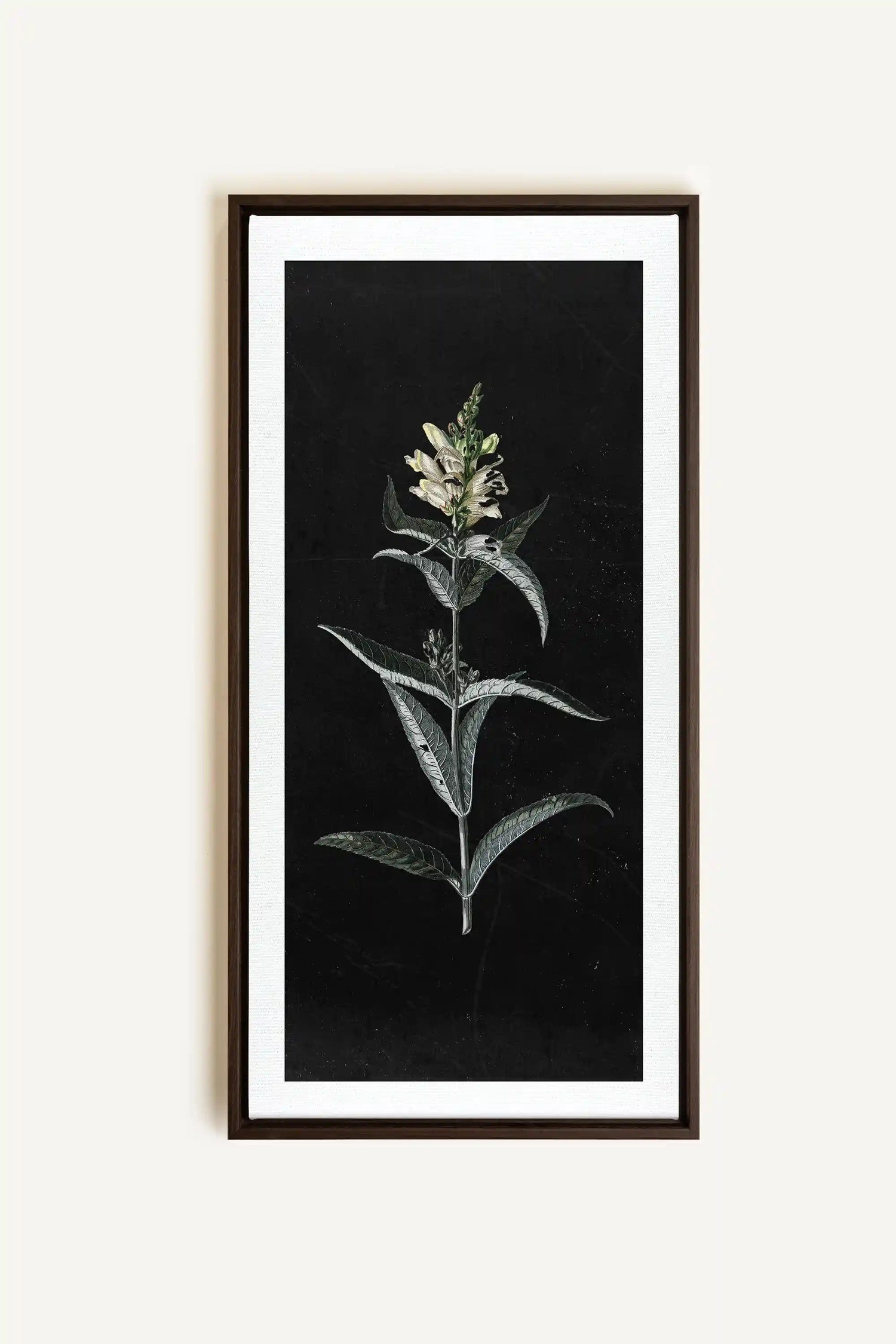 GUARDIAN BLOOM, Oeuvre sur toile étirée, encadré Brun Noyer