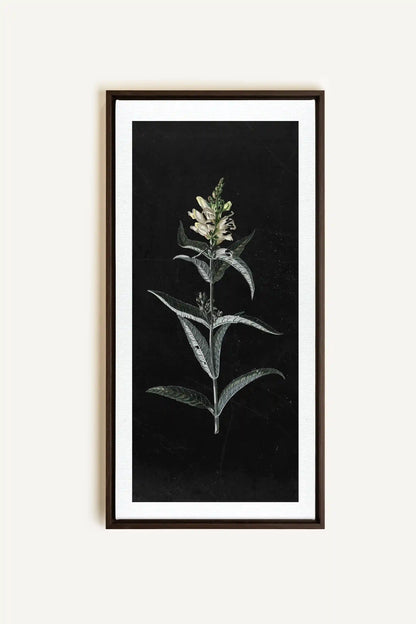 GUARDIAN BLOOM, Oeuvre sur toile étirée, encadré Brun Noyer