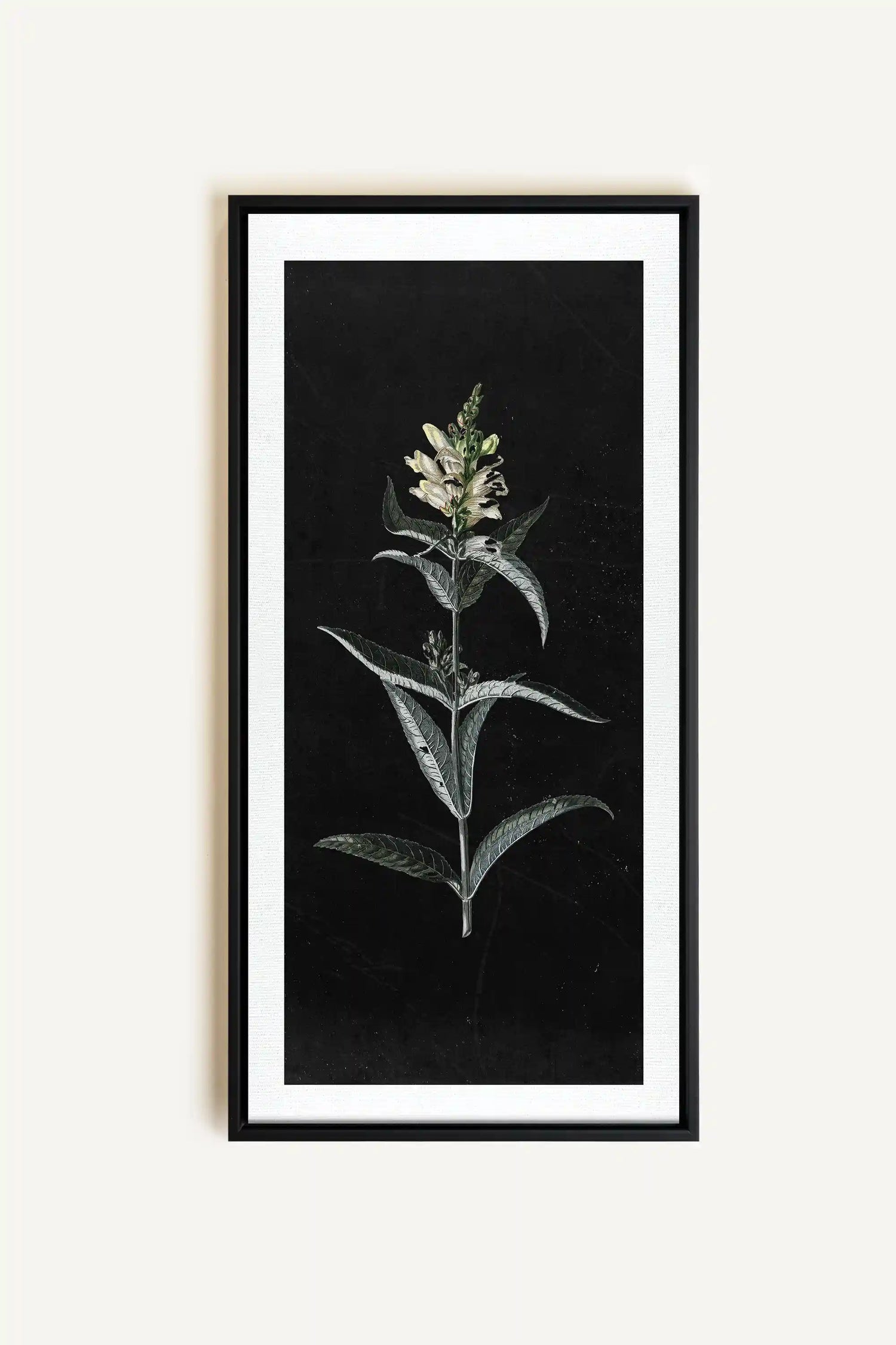 GUARDIAN BLOOM, Work on stretched canvas, framed Black