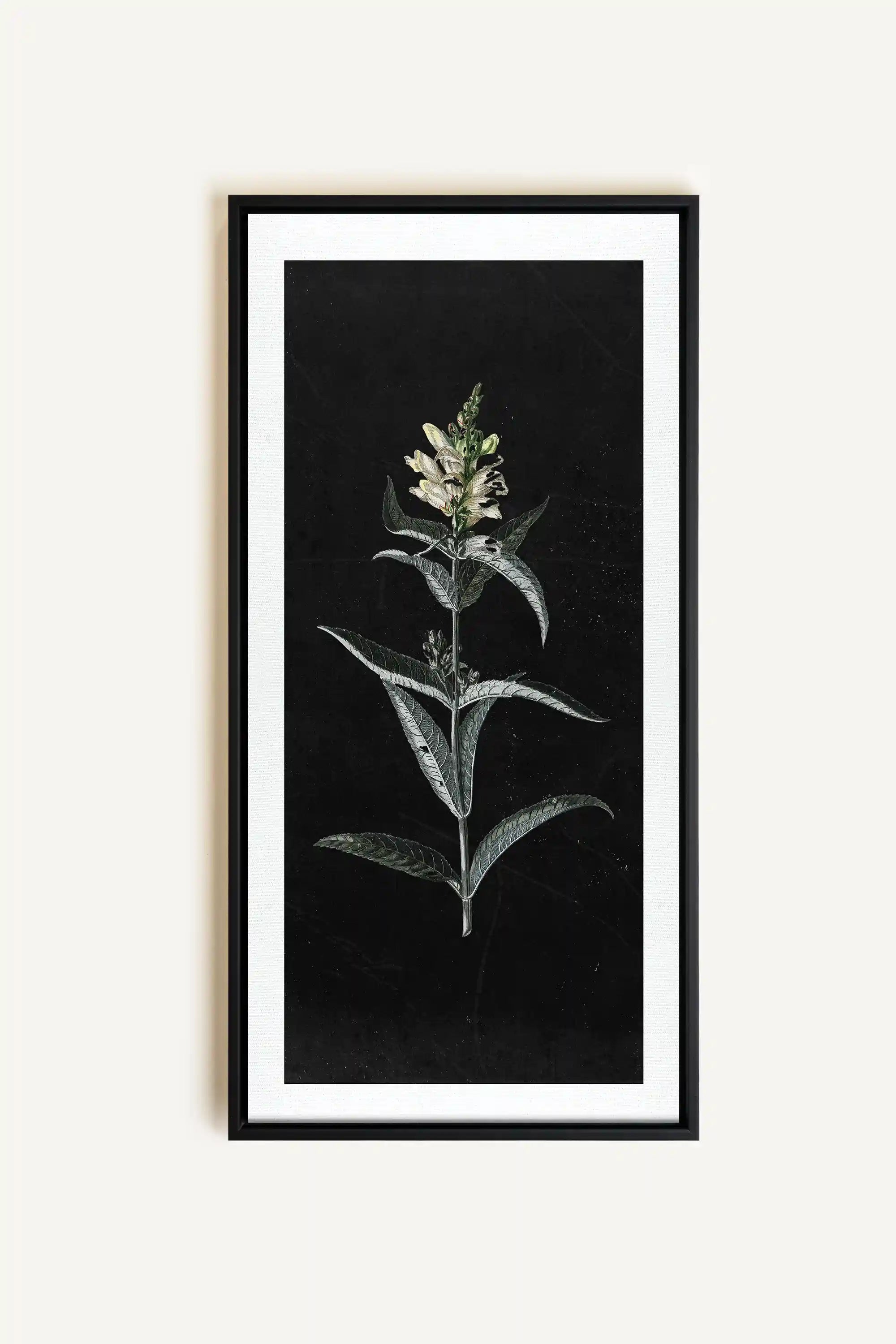 GUARDIAN BLOOM, Work on stretched canvas, framed Black