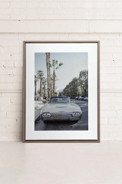 OLEKA CANVAS - CLASSIC PALM RIDE, Oeuvre sur toile étirée, encadré Brun Chêne