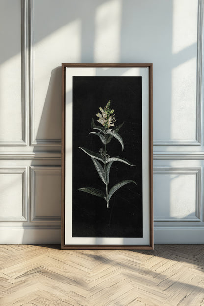 GUARDIAN BLOOM, Work on stretched canvas, framed Oak Brown