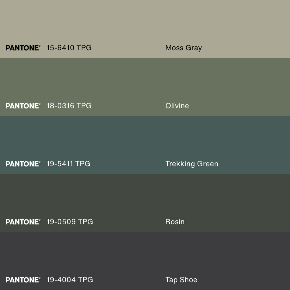 SOUS-BOIS, Oeuvre sur toile étirée, encadré Naturel Clair