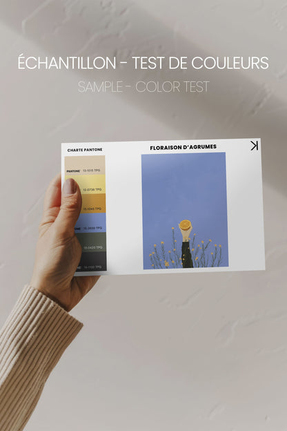 OLEKA CANVAS - FLORAISON D&